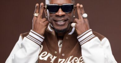 Shatta Wale Knocked Down by Fan