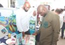 Why Eco-friendly Real Estate Is Good for Ghana