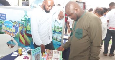 Why Eco-friendly Real Estate Is Good for Ghana